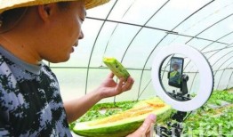 小粽吃瓜日记在线观看免费,揭秘网络热点的幕后故事