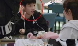 肖战杨紫爆料视频,揭秘娱乐圈幕后真相