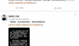 林俊杰潘玮柏视频爆料,幕后故事与精彩瞬间