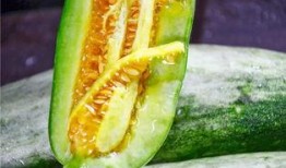 被吃瓜的网红有哪些,盘点那些被热议的“瓜王”事件