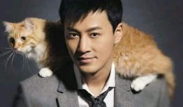 林峰近期爆料新闻视频下载,娱乐圈幕后真相大曝光