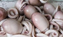 网红八爪鱼吃瓜爆料图片,揭秘娱乐圈幕后真相