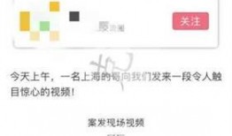 宝山新闻爆料事件视频,视频揭露惊人真相