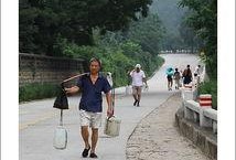 山坡 在线观看,在线探索山坡之美