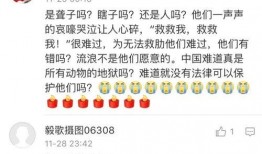 每日一爆料完整视频,视频内容深度解析