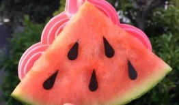 北海网红吃瓜,揭秘网络红人的幕后故事