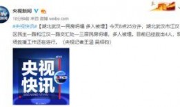 今日武汉爆料新闻最新,揭秘XX事件背后真相