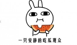 吃瓜事件网红怎么了,真相与争议并存