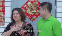 大村官电视剧全集在线观看,权谋与情怀的交织