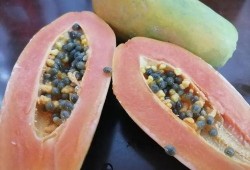 吃瓜爆料附视频,视频揭秘惊人内幕，真相令人震惊！