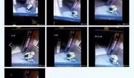 移动小哥爆料视频,揭秘最新手机技术革新瞬间