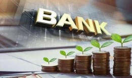 辽沈银行最新爆料,揭秘银行业内幕，深度解析金融变革