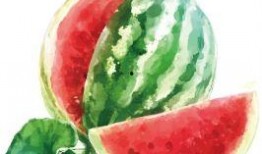 尊嘟假嘟免费吃瓜,揭秘娱乐圈幕后真相！