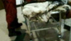 赵县爆料最新事件,揭秘神秘事件背后的真相