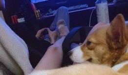 辛雨锡爆料视频,娱乐圈背后的惊人真相