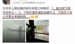 今日生活爆料电话,今日爆料电话背后的故事