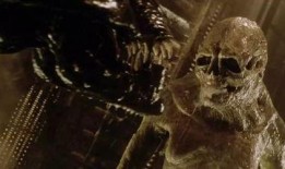 皇者之种电影在线观看,传奇血脉的崛起