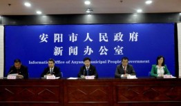 河南安阳新闻爆料,重大发现揭示殷墟历史新篇章