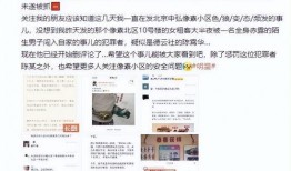 德云色最新爆料,揭秘娱乐圈幕后真相