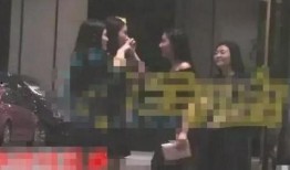 爆料张丰毅出轨视频大全,揭秘娱乐圈不为人知的秘密