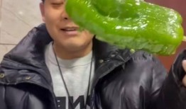 柳州吃瓜事件网红视频,网红视频引发的全民热议