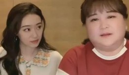 新瓜最新爆料视频明星,明星隐私大揭秘，视频内容引发热议