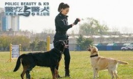在线观看警花与警犬,热血追踪，守护正义的温馨搭档