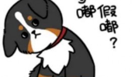 尊嘟假嘟免费吃瓜,揭秘娱乐圈幕后真相！