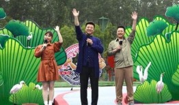 戈雅最新爆料新闻视频,揭秘娱乐圈惊人内幕