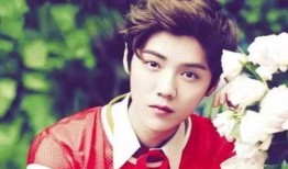 鹿晗爆料韩国女星视频大全,韩国女星私密视频事件全解析