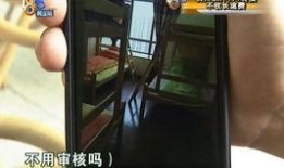 爱的果实三邦在线观看,三邦在线情感之旅