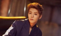 鹿晗家世爆料视频,豪门背景曝光，明星之路背后的故事