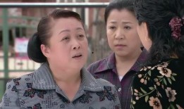 大村官电视剧全集在线观看,权谋与情怀的交织