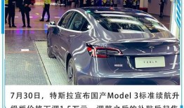 特斯拉销量爆料视频最新,最新视频揭示惊人销量数据