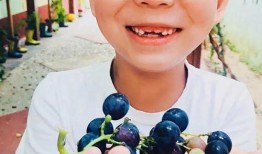 爱的果实三邦在线观看,三邦在线情感之旅