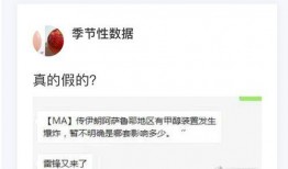 甲醇期货最新爆料吧,市场动态与趋势前瞻