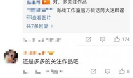 肖战杨紫爆料视频,揭秘娱乐圈幕后真相