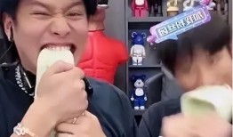 小杨哥老爸爆料视频大全,揭秘家庭趣事与温馨瞬间