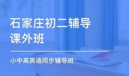 石家庄课外班爆料视频,教育现状与家长焦虑