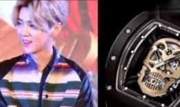 鹿晗家世爆料视频,豪门背景曝光，明星之路背后的故事