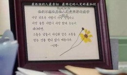 素媛电影在线观看56,56分钟见证人性光辉的感人瞬间