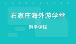 石家庄课外班爆料视频,教育现状与家长焦虑