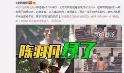 爆料张丰毅出轨视频大全,揭秘娱乐圈不为人知的秘密