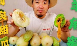 徐州吃瓜网红是谁啊,吃瓜达人背后的故事