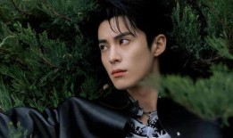 明星娱乐爆料王鹤棣,娱乐圈新晋小生，揭秘他的星途历程