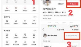 每日一爆料完整视频,视频内容深度解析