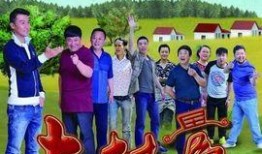 大村官电视剧全集在线观看,权谋与情怀的交织