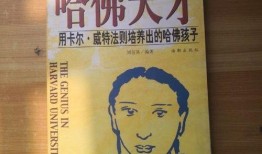 爆料主播 探店视频大全,主播带你领略探店视频大全