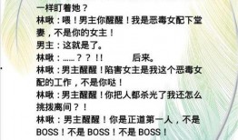 救赎最新爆料小说推荐免费阅读,揭秘小说最新爆料，免费阅读带你领略神秘世界