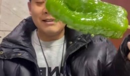 廊坊网红吃瓜事件,揭秘网络舆论的风暴与真相